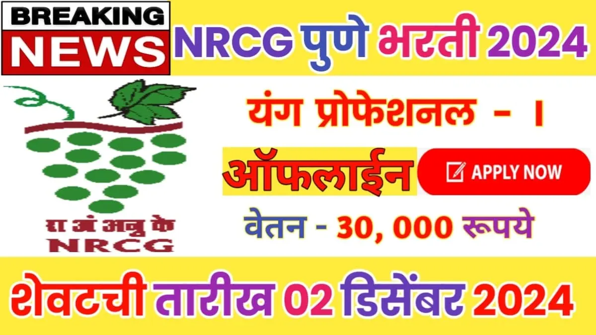 NRCG Pune Recruitment 2024